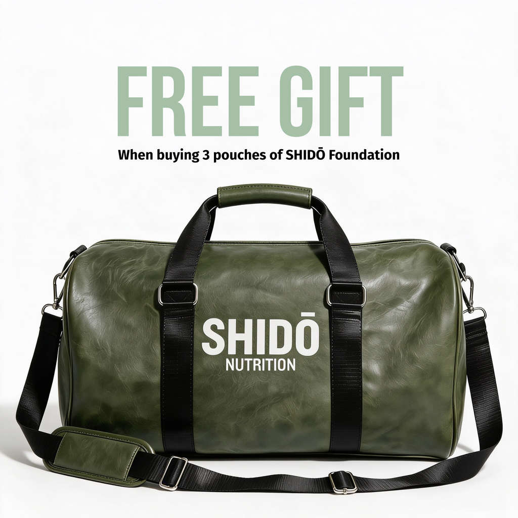 SHIDŌ Foundation